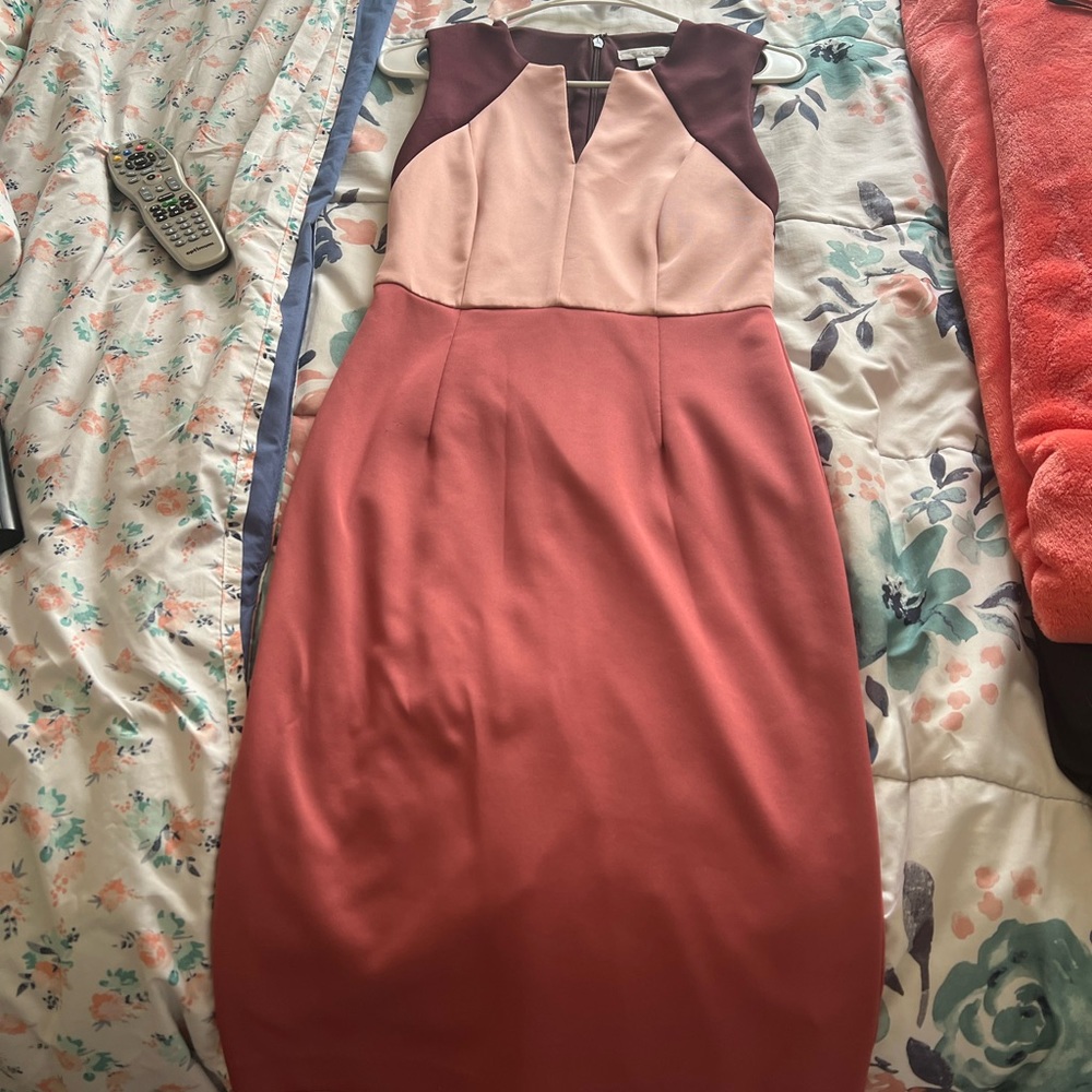 New York & Company Dress